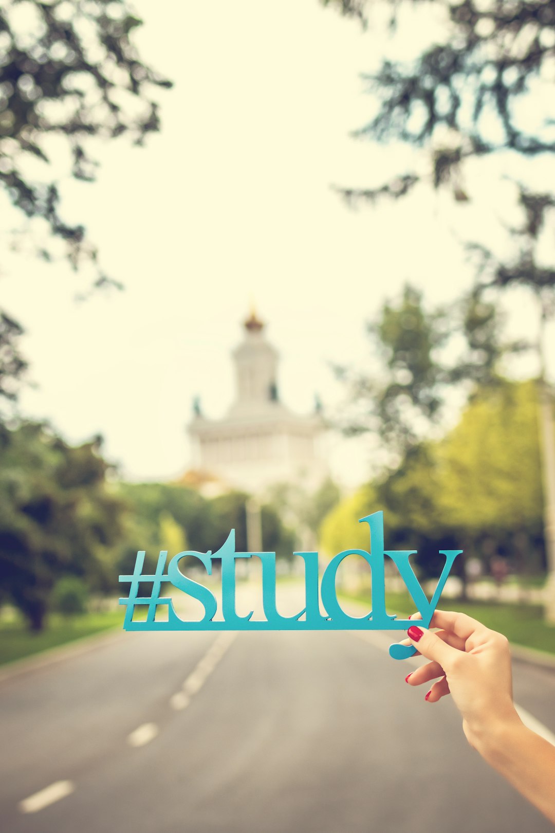 a-person-holding-up-a-sign-that-says-study-zdz-6plm7to